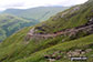 Track on the eastern flank of Beinn Bhuidhe (Glen Fyne)