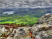 Derwent Water and The Newlands Fells from The White Stones on Carl Side