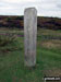 Halsway Post