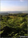 A view of Wallace Monument heading up the Dumyat