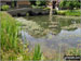 Pool at the entrance to The Lydhurst Estate, Warninglid