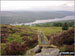 Windermere from Staveley Fell summit cairn