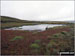 Hidden Tarn near Ancrow Brow (Swinklebank Crag) summit