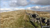 The final climb to Calf Top summit