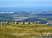 Herdies leading me off the summit of Carling Knott