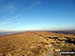 Featherbed Top (Featherbed Moss)