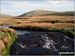 Moel Llyfnant from the bridge over Afon Amnodd-bwll