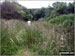 The path towards Longridge Fell from Weedacre Farm