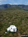 Lechwedd Du summit cairn with the Aran Fawddwy ridge (Aran Fawddwy, Erw y Ddafad-ddu & Aran Benllyn) in the background