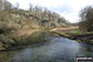 The River Lathkill from Conksbury Bridge