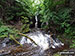 Catrigg Force
