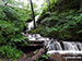 Scaleber Force
