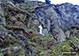 White cross memorial to Fanny Mercer near the bottom of Fleetwith Pike near Gatescarth