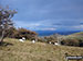 Fell ponies on Great Mell Fell