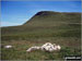 Moel Penamnen from Moel Bowydd