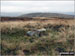 The Forest (Bannisdale) summit cairn