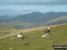 The Scafell Range from Great Carrs