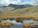 Pavey Ark and-Harrison Stickle from Silver How