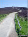 The Offa's Dyke Path approaching the summit of Moel Famau