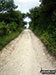 Stony track near Alfriston
