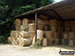 Bopeep Farm