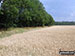 Fields near Bopeep Farm