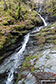 Another of the many pretty waterfalls in the Birks of Aberfeldy