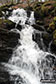 Another of the many pretty waterfalls in the Birks of Aberfeldy