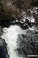 Upper Moness Falls from above in the Birks of Aberfeldy