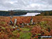 Langsett Reservoir from Delf Edge