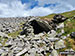 Shelter on the upper slopes of Gyrn (Llanllechid)