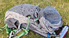 There were a lot of flying insects on the summit of Moel Eilio (Dolgarrog)!