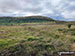 Moel Eilio (Dolgarrog) from Cwm Afon Ddu