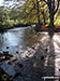 The River Dove in Beresford Dale