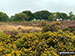Eyam Moor