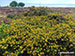 Eyam Moor