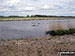 Water fowl on the River Bure
