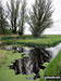 Upton Marshes