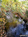 The outflow river from Strines Reservoir