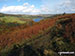 Dale Dike Reservoir from Lee Bank