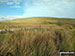Lodge Moor (Ulgill Moors)