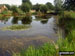 Blindley Heath Pond