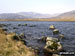 Loch Beanie
