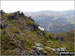 Sheep safely grazing on Allt-fawr (Moelwyns) with Moel Penamnen and Manod Mawr across the valley in the distance