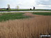 The Yare and Reedham Marshes