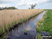 Dyke near Berney Arms Drainage Mill