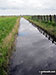 Drainange Channel, Wickhampton Marshes