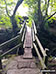 Footbridge in Low Bradfield