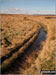 Rishworth Drain, Rishworth Moor