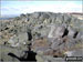 Blackstone Edge summit
